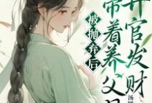 《被抛弃后，我带着养父母升官发财》小说宋褀安乔松章节章节免费在线阅读-瑞奇文学