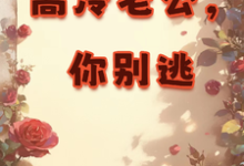 小说完整版《高冷老公，你别逃》免费阅读-瑞奇文学