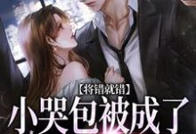 《将错就错：小哭包被成了大佬心尖宠》小说章节在线试读，《将错就错：小哭包被成了大佬心尖宠》最新章节目录-瑞奇文学