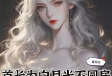 首长为白月光不圆房，重生不嫁了小说全文阅读需要付费吗？寻找免费资源-瑞奇文学