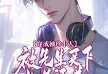 穿成袖珍小人，被先生买下当老婆养祁然亚里斯小说免费阅读-瑞奇文学