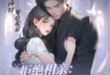 拒绝相亲：租个男模应付妈章节免费在线阅读，沈蓁蓁江泽完结版-瑞奇文学