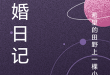 骗婚日记完整版小说，骗婚日记陈大凤谢玉竹-瑞奇文学