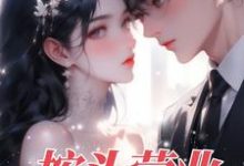 乔言辞叶致诚小说在线章节免费阅读（按头营业无弹窗无删减）-瑞奇文学