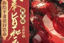 陆知苒小说你给平妻请封诰命，我奉旨和离你哭啥？完整版阅读-瑞奇文学