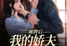 南烟傅靳司完整版《摊牌后,我的娇夫变小弟》小说免费阅读-瑞奇文学