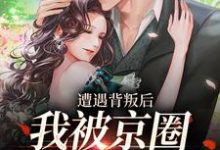 已完结小说《遭遇背叛后,我被京圈大佬捡回家》章节免费阅读-瑞奇文学