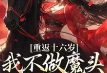 免费在线阅读重返十六岁,我不做魔头改修仙了小说的正规网站有哪些?-瑞奇文学