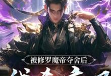 被修罗魔帝夺舍后,我杀疯了宁川,被修罗魔帝夺舍后,我杀疯了完整版最新章节-瑞奇文学