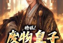 小说完整版《糟糕！废物皇子他觉醒了》免费阅读-瑞奇文学