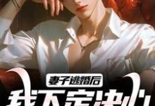 叶陵苏颜小说妻子逃婚后，我下定决心选了她完整版阅读-瑞奇文学