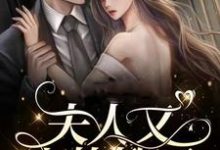 夏婉小说叫什么（夫人又上热搜了完整版免费阅读）-瑞奇文学