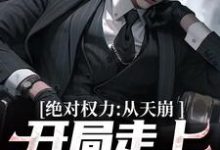 在线免费阅读绝对权力：从天崩开局走上官途巅峰完整小说-瑞奇文学