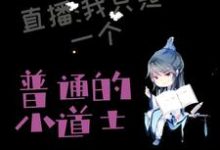 《直播：我真是个普通的小道士》小说章节列表免费试读，李文小说在线阅读-瑞奇文学