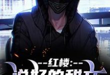 《红楼：说好的甜文咋变恐怖文了》齐洛小说免费阅读完整版-瑞奇文学