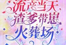 先救白月光?流产当天渣爹带崽火葬场这本小说怎么样?免费在线阅读试试-瑞奇文学