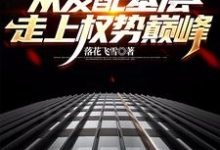 官梯:从发配基层走上权势巅峰完整版小说,官梯:从发配基层走上权势巅峰杨飞方婷-瑞奇文学