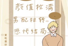 小说《快穿颜值拉满,男配扭转悲惨结局》完整版在线章节免费阅读-瑞奇文学