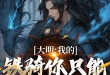 完结版《大明：我的铁骑你只能看不能借！》章节阅读-瑞奇文学