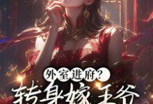 完整版《外室进府？转身嫁王爷只让你吃苦》小说免费阅读-瑞奇文学