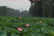 公主在现代风生水起小说，公主在现代风生水起在线阅读-瑞奇文学