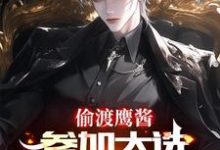 偷渡鹰酱，参加大选不过分吧？这本小说完结了吗？免费查看最新章节-瑞奇文学