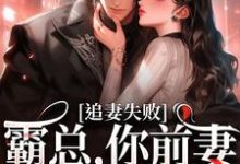 婚内越轨！我高嫁京圈前夫急疯了小说的免费电子版在哪里可以下载或阅读？-瑞奇文学