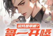 说我是草根?哥一开嗓就秒杀这本小说在哪里可以看?哪里有免费试读章节?-瑞奇文学