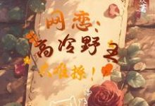 网恋：高冷野王太难撩！小说完结版章节免费阅读-瑞奇文学