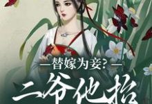 小说《替嫁为妾?二爷他抬我为妻》章节免费阅读-瑞奇文学