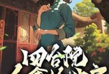 四合院：众禽抢我房？我抢淮茹住新房！小说有没有完整的免费版本在线阅读？-瑞奇文学