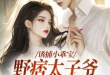 诱捕小乖宝，野痞太子爷强势攻陷小说全文哪里可以免费看？-瑞奇文学