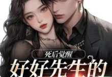 好好先生的真实面目小说阅读，好好先生的真实面目完结版-瑞奇文学