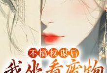 《不搞权谋后，我坐看废物儿女作死》完整版小说免费阅读-瑞奇文学