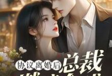 已完结小说《协议离婚后,总裁燃遍全球》最新章节-瑞奇文学