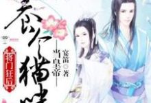 将门狂后:养个猫咪当皇帝连瑾小说完结版章节在线阅读-瑞奇文学