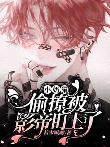 完结版《小奶猫偷撩被影帝盯上了》免费阅读