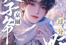 追老婆！京圈太子爷过分野！望星河陆景泽，追老婆！京圈太子爷过分野！完整版最新章节-瑞奇文学