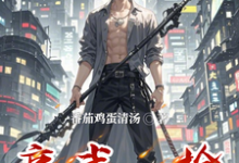 高武：枪破星辰小说全文哪里可以免费看？-瑞奇文学