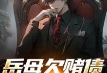 岳母欠赌债要被砍手?跟我没关系哈小说无弹窗阅读的网站推荐-瑞奇文学