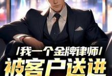 完整版《我一个金牌律师，被客户送进监狱了》小说免费阅读-瑞奇文学