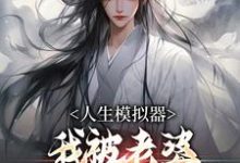 人生模拟器：我被老婆逼成世间极境（白棋）完整版在线免费阅读-瑞奇文学