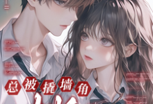 寻找快穿：总被撬墙角大师反攻略小说的最新更新章节-瑞奇文学