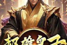 完结版《超雄皇子》章节阅读-瑞奇文学