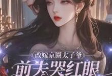 哪里可以免费找到改嫁京圈太子爷，前夫哭红眼求我别嫁？-瑞奇文学