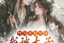 薛泠谢珩小说完整版《竹马不敌空降,我被太子宠上天》免费阅读-瑞奇文学