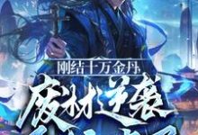 刚结十万金丹，废材逆袭系统来了楚云，刚结十万金丹，废材逆袭系统来了章节在线阅读-瑞奇文学