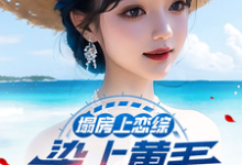 塌房上恋综，染上黄毛拐走刘天仙陆野小说完结版章节在线阅读-瑞奇文学