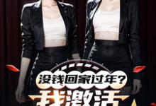 没钱回家过年？我激活0元购系统陈东林雨桐小说在线章节目录阅读最新章节-瑞奇文学