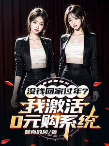 没钱回家过年？我激活0元购系统陈东林雨桐小说在线章节目录阅读最新章节